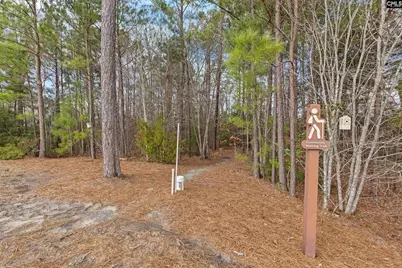 814 Dutchmaster Drive, Chapin, SC 29036 - Photo 29