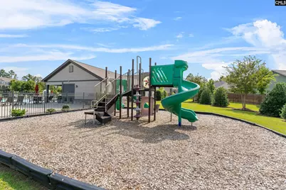 814 Dutchmaster Drive, Chapin, SC 29036 - Photo 25