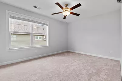 814 Dutchmaster Drive, Chapin, SC 29036 - Photo 19
