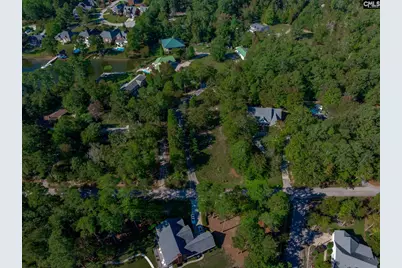 1304 Silver Point Road, Chapin, SC 29036 - Photo 1