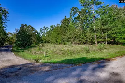 1304 Silver Point Road, Chapin, SC 29036 - Photo 9