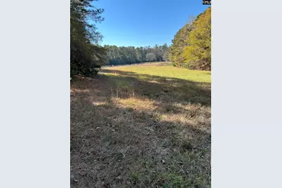 Tbd Leisure Point and Seibert, Prosperity, SC 29127 - Photo 21