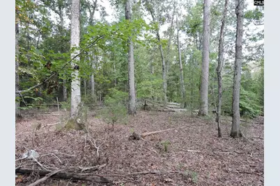 Tbd Leisure Point and Seibert, Prosperity, SC 29127 - Photo 5