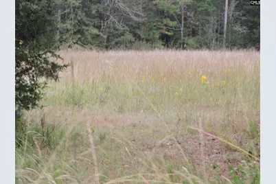 Tbd Leisure Point and Seibert, Prosperity, SC 29127 - Photo 13