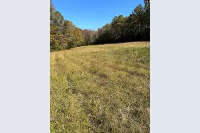 Tbd Leisure Point and Seibert, Prosperity, SC 29127 - Photo 17