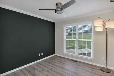 117 Bogater Road, Chapin, SC 29036 - Photo 57