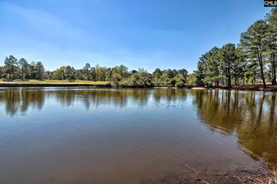 332 Compass Trail, Blythewood, SC 29016 - Photo 61