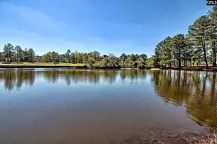 332 Compass Trl, Blythewood, SC 29016 - Photo 61