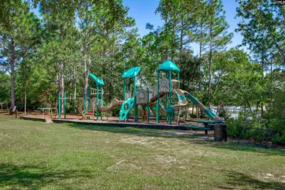 242 Drooping Leaf Lane, Lexington, SC 29072 - Photo 47