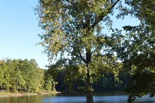 1166 Whippoorwill Rd, Camden, SC 29020 - Photo 5