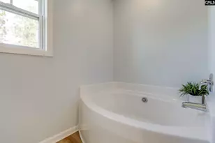 425 Blue Artesian Wy, Lexington, SC 29073 - Photo 25