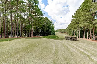 271 Woodlander Drive, Blythewood, SC 29016 - Photo 77