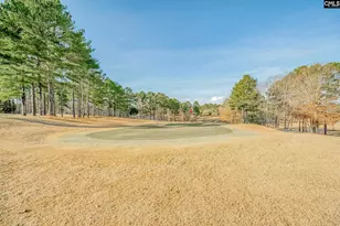 271 Woodlander Dr, Blythewood, SC 29016 - Photo 67