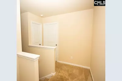 384 Explorer Drive, Chapin, SC 29036 - Photo 29