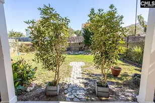 384 Explorer Dr, Chapin, SC 29036 - Photo 9