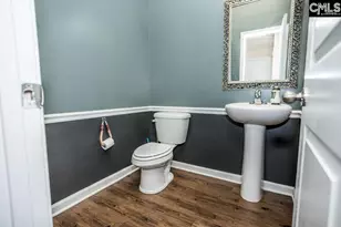 384 Explorer Dr, Chapin, SC 29036 - Photo 29