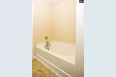 384 Explorer Drive, Chapin, SC 29036 - Photo 35