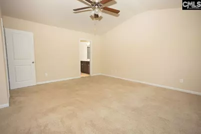 384 Explorer Drive, Chapin, SC 29036 - Photo 31