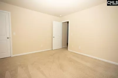 384 Explorer Drive, Chapin, SC 29036 - Photo 47