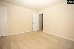 384 Explorer Dr, Chapin, SC 29036 - Photo 47