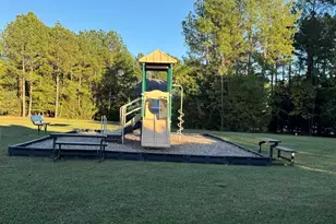 384 Explorer Dr, Chapin, SC 29036 - Photo 51