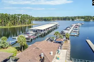 384 Explorer Dr, Chapin, SC 29036 - Photo 55