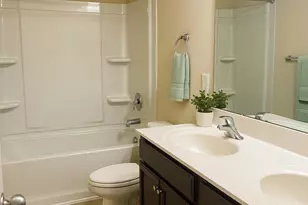 384 Explorer Dr, Chapin, SC 29036 - Photo 47