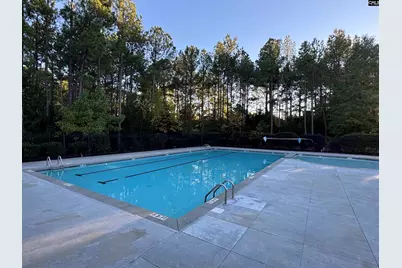 384 Explorer Drive, Chapin, SC 29036 - Photo 53