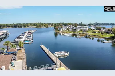 384 Explorer Drive, Chapin, SC 29036 - Photo 11