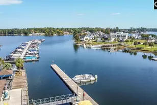 384 Explorer Dr, Chapin, SC 29036 - Photo 11