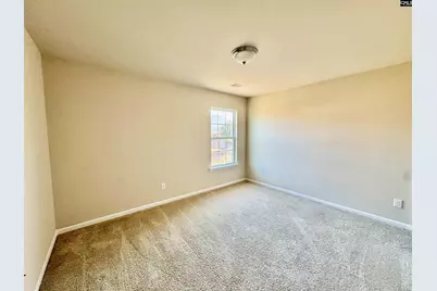 384 Explorer Drive, Chapin, SC 29036 - Photo 45