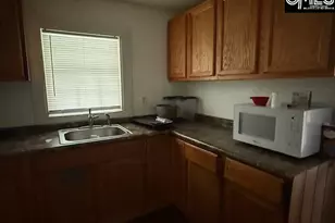 4401 Windemere Ave, Columbia, SC 29203 - Photo 3