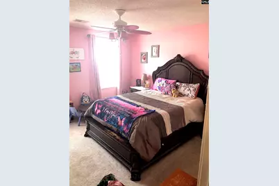 229 Orchard Hill Drive, West Columbia, SC 29170 - Photo 15