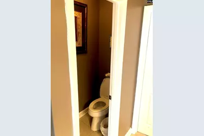 229 Orchard Hill Drive, West Columbia, SC 29170 - Photo 13