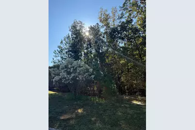 761 Carolina Aster Drive, Blythewood, SC 29016 - Photo 1