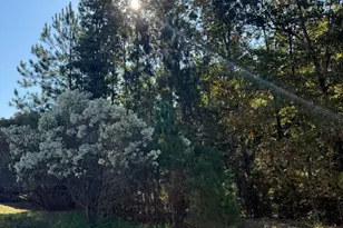 761 Carolina Aster Dr, Blythewood, SC 29016 - Photo 1