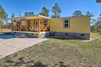 153 Nancy Road, Pelion, SC 29123 - Photo 3