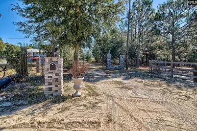 153 Nancy Road, Pelion, SC 29123 - Photo 41