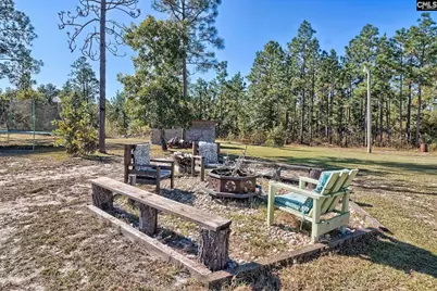 153 Nancy Road, Pelion, SC 29123 - Photo 37