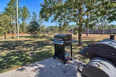 153 Nancy Road, Pelion, SC 29123 - Photo 39