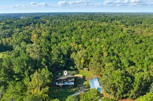 333 Holly Point Rd, Prosperity, SC 29127 - Photo 1