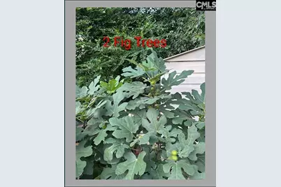 1123 Pine Street, West Columbia, SC 29172 - Photo 41