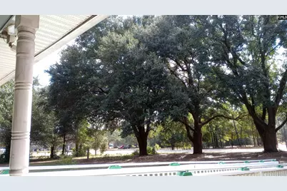 1123 Pine Street, West Columbia, SC 29172 - Photo 5