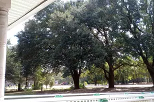 1123 Pine St, West Columbia, SC 29172 - Photo 5