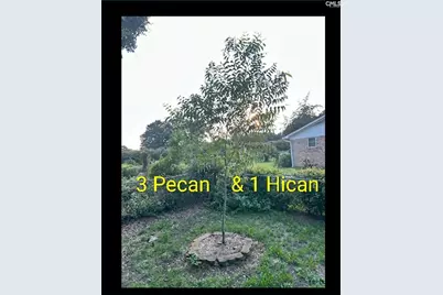 1123 Pine Street, West Columbia, SC 29172 - Photo 43