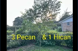 1123 Pine St, West Columbia, SC 29172 - Photo 43