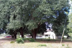 1123 Pine St, West Columbia, SC 29172 - Photo 11