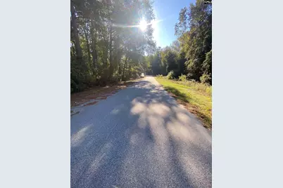 119 Pine Drive, Bethune, SC 29009 - Photo 5