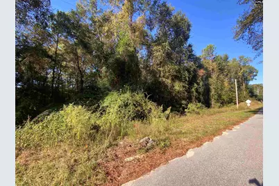 119 Pine Drive, Bethune, SC 29009 - Photo 3