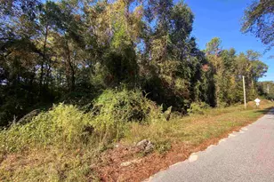 119 Pine Dr, Bethune, SC 29009 - Photo 3